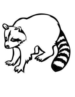 Rakun boyama sayfası, Raccoons coloring page, Büyük Rakun, 