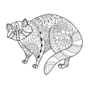 Rakun boyama sayfası, Raccoons coloring page, Rakun Mandala, 