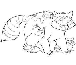 Rakun boyama sayfası, Raccoons coloring page, Aile Rakun, 