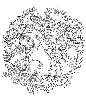 Rakun boyama sayfası, Raccoons coloring page, Çiçek ile Rakun, 