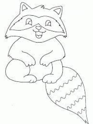 Rakun boyama sayfası, Raccoons coloring page, Oturan Rakun, 