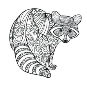 Rakun boyama sayfası, Raccoons coloring page, Zor Rakun, 