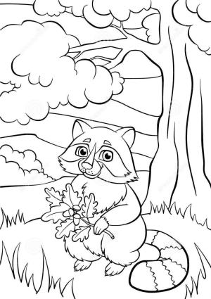 Rakun boyama sayfası, Raccoons coloring page, Rakun Tutan Yaprak, 