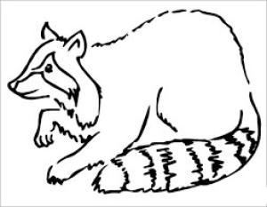 Rakun boyama sayfası, Raccoons coloring page, Rakun Çizimi, 