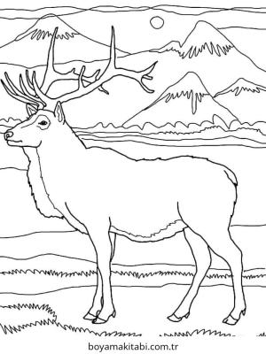 Reindeer boyama sayfası – sevimli karakter, sanatsal çalışma