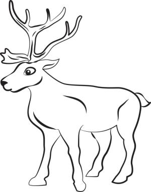 Ren Geyiği boyama sayfası,  coloring page, Büyük Ren Geyiği, 