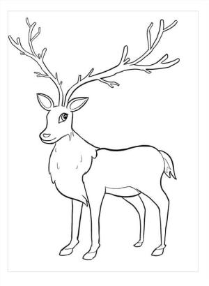 Ren Geyiği boyama sayfası,  coloring page, Normal Ren Geyiği, 