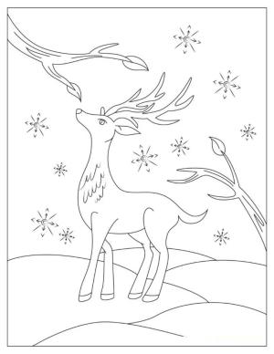 Ren Geyiği boyama sayfası,  coloring page, Güzel Ren Geyiği, 