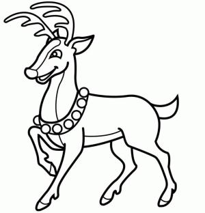 Ren Geyiği boyama sayfası,  coloring page, Eğlenceli Ren Geyiği, 