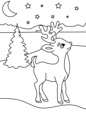 Ren Geyiği boyama sayfası,  coloring page, Inanılmaz Ren Geyiği, 