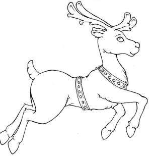 Ren Geyiği boyama sayfası,  coloring page, Ren Geyiği Koşu, 