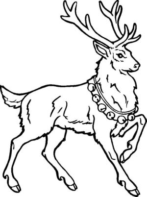 Ren Geyiği boyama sayfası,  coloring page, Müthiş Ren Geyiği, 