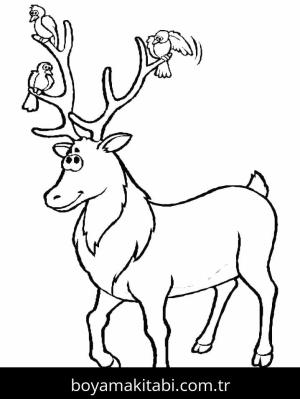 Ren Geyiği Boyama