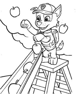 Rocky Paw Patrol boyama sayfası, coloring page, Rocky ve elmalar,