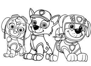 Rocky Paw Patrol boyama sayfası, coloring page, Zuma Sky ve Rocky,
