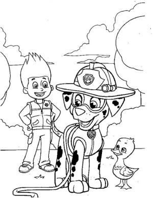 Ryder Paw Patrol boyama sayfası,  coloring page, Ryder ve Marshall Paw Patrol, 