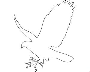 Şahin boyama sayfası,  coloring page, , 