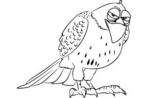 Şahin boyama sayfası,  coloring page, , 