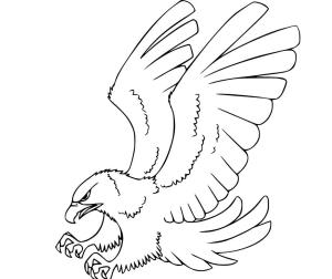 Şahin boyama sayfası,  coloring page, , 