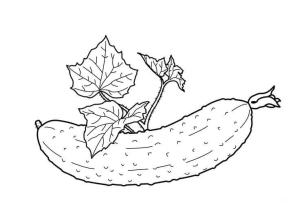 Salatalık boyama sayfası,  coloring page, Iyi Salatalık, 