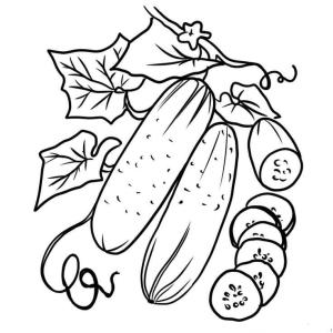 Salatalık boyama sayfası,  coloring page, Harika Salatalık, 