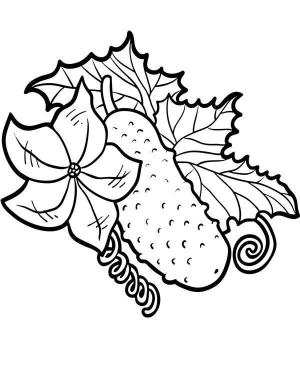 Salatalık boyama sayfası,  coloring page, Çiçek ve Yapraklı Salatalık, 