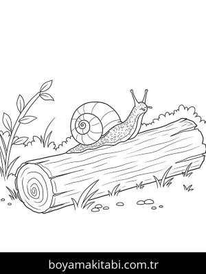 Salyangoz boyama sayfası – kolay boyama, eğitici aktivite