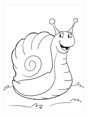 Salyangoz boyama sayfası,  coloring page, Mükemmel Salyangoz, 