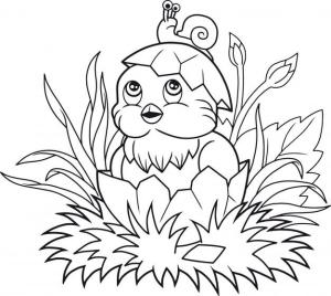 Salyangoz boyama sayfası,  coloring page, Salyangoz üstünde Kuş, 