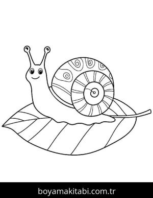 Salyangoz boyama sayfası – okul öncesi, evde etkinlik