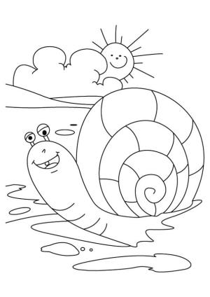 Salyangoz boyama sayfası,  coloring page, Sahilde Salyangoz, 