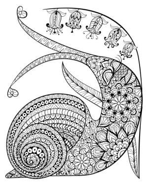 Salyangoz boyama sayfası,  coloring page, Salyangoz Mandala, 