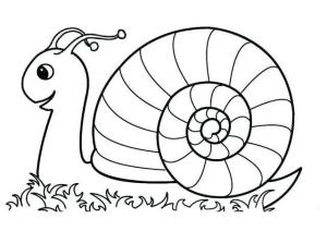 Salyangoz boyama sayfası,  coloring page, Normal Salyangoz, 