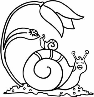 Salyangoz boyama sayfası,  coloring page, Anne Salyangoz ve Bebek Salyangoz, 