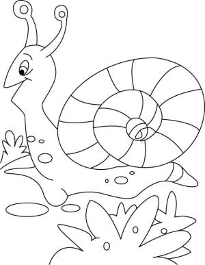 Salyangoz boyama sayfası,  coloring page, Şaşırtıcı Salyangoz, 