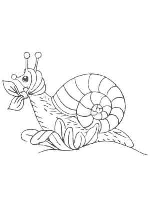 Salyangoz boyama sayfası,  coloring page, Yazdırılabilir Salyangoz, 