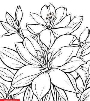 Sanatsal Yabani Çiçekler boyama sayfası, coloring page, ,