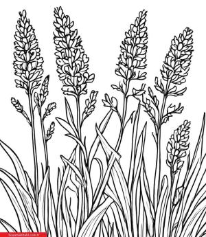 Sanatsal Yabani Çiçekler boyama sayfası, coloring page, ,