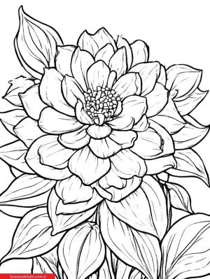 Sanatsal Yabani Çiçekler boyama sayfası, coloring page, ,