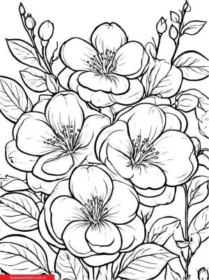 Sanatsal Yabani Çiçekler boyama sayfası, coloring page, ,