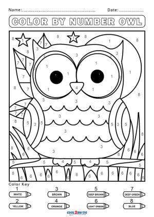 Sayılarla boyama sayfası,  coloring page, Baykuş, 