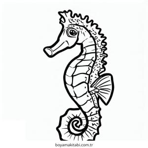 Seahorse boyama sayfası – renkli çizimler, okul öncesi