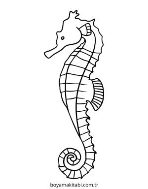 Seahorse boyama sayfası – eğlenceli etkinlik, el becerilerini geliştirir