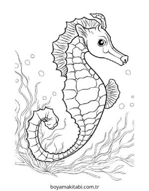 Seahorse boyama sayfası – okul öncesi, evde etkinlik
