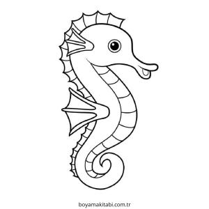 Seahorse boyama sayfası – el becerilerini geliştirir, boyama çalışması