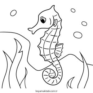 Seahorse boyama sayfası – kolay boyama, eğitici aktivite