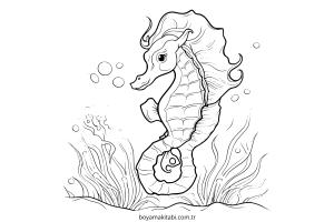 Seahorse boyama sayfası – basit çizim, kolay boyama