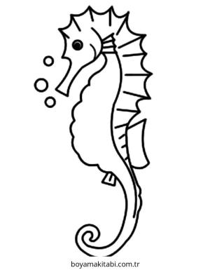 Seahorse boyama sayfası – kolay boyama, eğitici aktivite