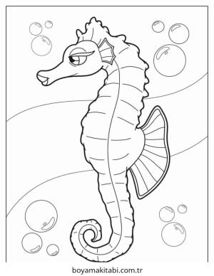 Seahorse boyama sayfası – yaratıcılık, eğlenceli etkinlik
