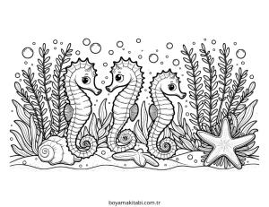 Seahorse boyama sayfası – evde etkinlik, ücretsiz yazdır